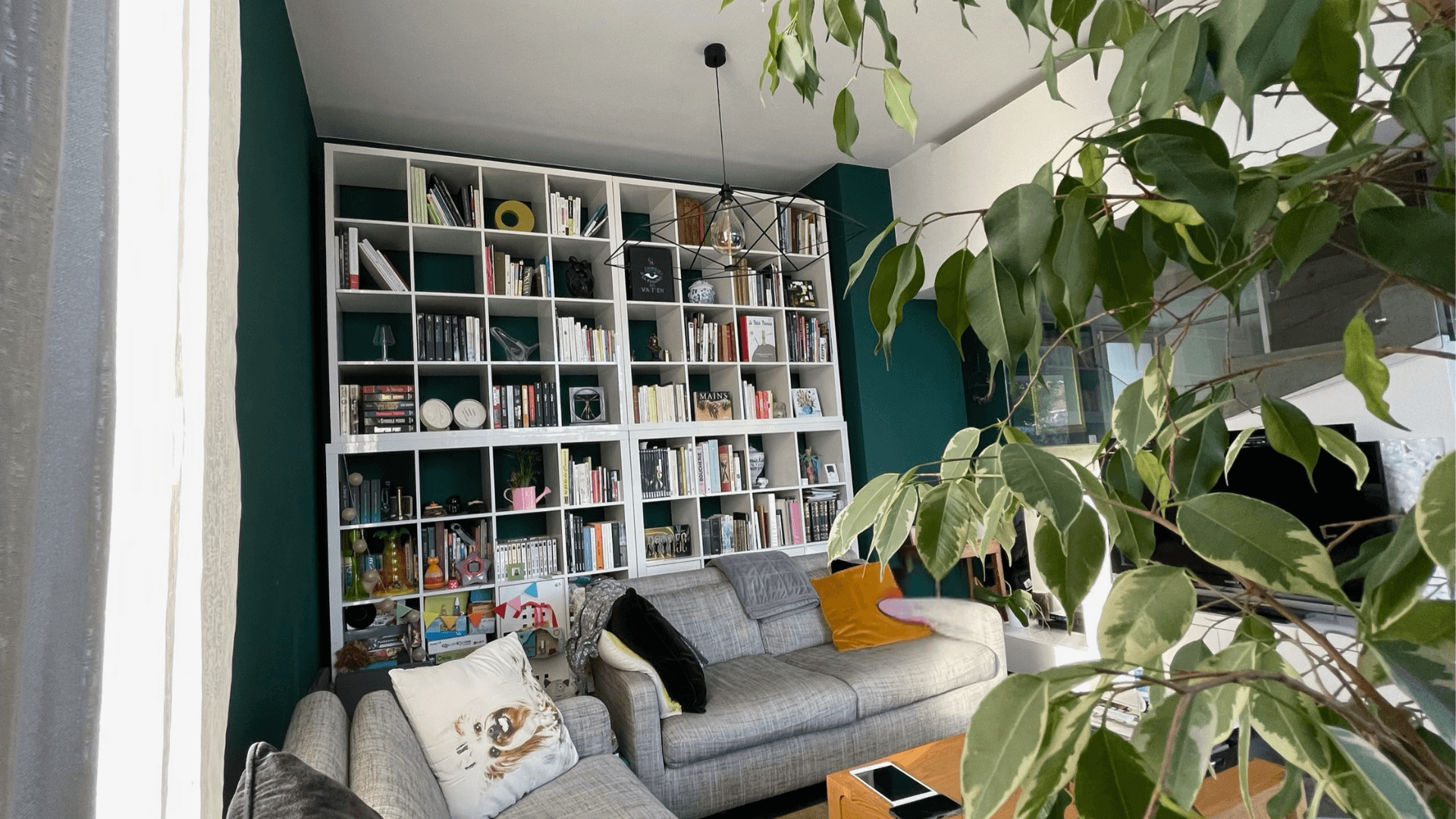 Photo d'un salon avec une grande bibliothèque blanche et le mur vert foncé
